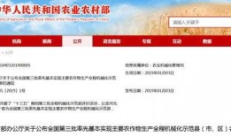 辛集新闻头条爆料群微信,揭秘本地热点事件，聚焦民生关注焦点