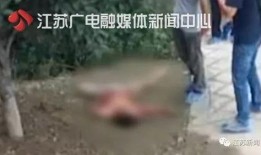 高中生离奇失踪爆料视频,揭秘背后惊人真相